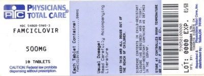 Famciclovir Tablets 500 mg Label (Package Label)